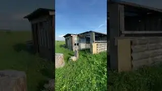 Шалаш около леса и озера 