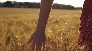 Переходы с маской Матте