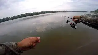 Ловля окуня и щуки летом