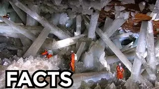 Found Giant Crystal Cave Under Mexico Desert | Amazing Random Facts
