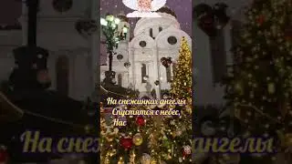 @_0104 #видео #видеооткрытки #длявас #срождеством