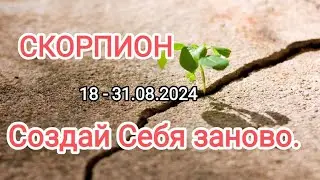 СКОРПИОН ❤️18 - 31.08.2024. Тароскоп.