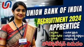 Apprenticeship vacancies in union bank of india | union bank of india Apprentice recuritment 2024