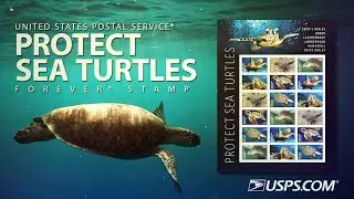 USPS #ProtectSeaTurtlesStamps