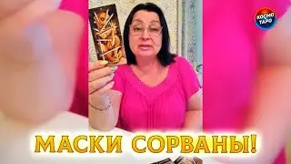 СТОИШЬ - ПРИСЯДЬ! ЕГО ИСТИННЫЕ ДЕЙСТВИЯ? Его мысли?