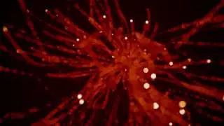 VIRUS