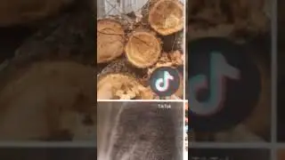 *(краши)* .
