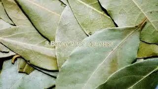 9 Things You Never Knew About Bay Leaves