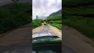 #munnar #kerala #idukki #keralatourism #keralagram #india #kochi #nature