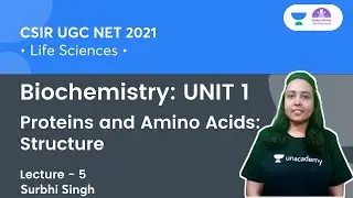 Proteins and Amino Acids: Structure | Biochemistry: UNIT 1 | CSIR NET 2021 | By Surbhi Singh