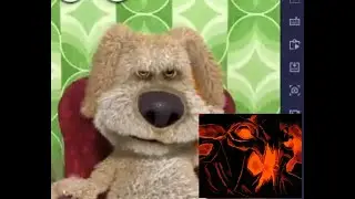 О том, как Shadowraze подписался на свадьбу с морфи