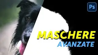 La Tecnica SEGRETA dei Canali per Selezioni Difficili in Photoshop