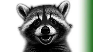 RAKUN