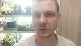 Фиалки выставляются на белый поддон!!!