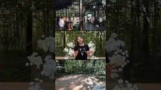 Стеклянная веранда Due To Love для проведения праздников. Обзор ревизорро #wedding #площадка