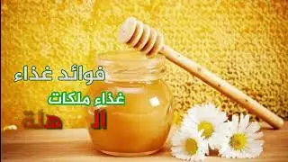 فوائد غذاء ملكات النحل المذهلة