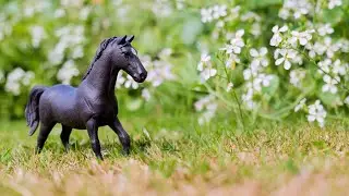 Schleich Horse Photography | August 2024
