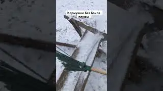 В чем плюс кормушек без боковин? 