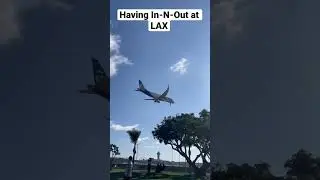 Lax