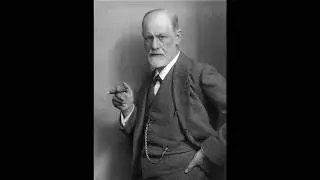 A commoner's perspective | Freud's frank findings
