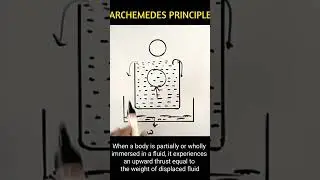 ARCHEMEDES PRINCIPLE
