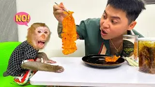 Monkey Kaka was curious and tried to eat the dried squid dad bought