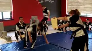 Demo Team performance at the Cheshire Home & Garden Expo- March 24, 2018