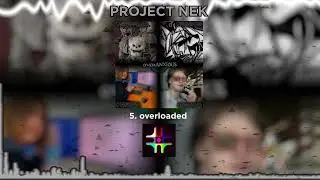 5. PROJECT NEK — overloaded