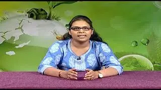 Economic Development and Environmental Sustainability