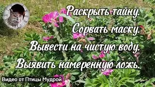 Как раскрыть тайну, сорвать маску, вывести на чистую воду, выявить намеренную ложь
