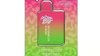Watermelon Mimosa Review Micro Bar