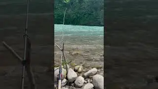Абхазия,Горная река, Форель🔥