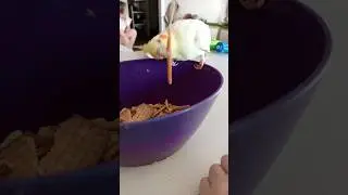 Когда  устала сидеть на диете 😂 #корелла