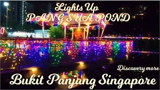 Lights Up at Pang Sua Pond | Bukit Panjang Singapore