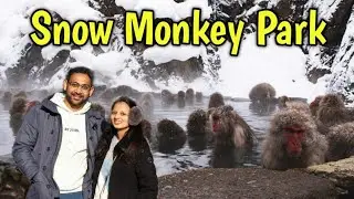 Snow Monkey 🐒 Park || Nagano prefecture || part :1 || indians in japan