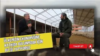 YOZGAT BOĞAZLIYAN'DA HAYVANCILIK | ÇOBANIN YOLU