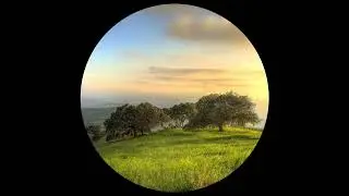 Jakob Apelian - Berget Hills // Nyon Selected
