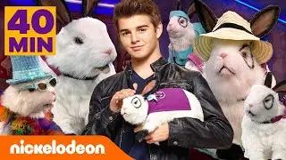40 Minuten Dr. Colosso Hasen-Marathon! | Nickelodeon Deutschland