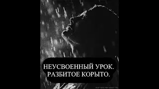 НЕУСВОЕННЫЙ УРОК. РАЗБИТОЕ КОРЫТО 