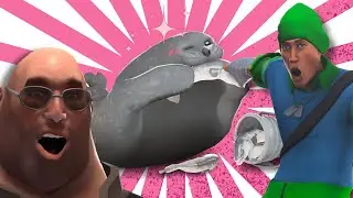 TF2 Seal Meme Compilation (2023)