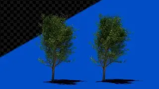 Tree and Grass Animated Green Screen Video