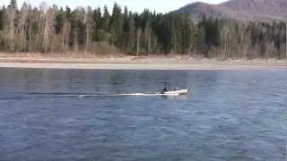 Черемшанка, река Казыр