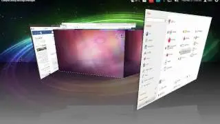 11.10 Compiz