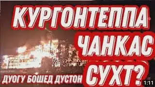 БОЗОРИ ФАРОВОН БА ПУРАГИ ДАР ГИРИФТ 😨😰