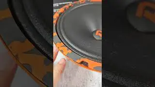 DL Audio Barracuda 250. Дикий панч за малые деньги! #shorts #treicer100 #dlaudio #barracuda #панч