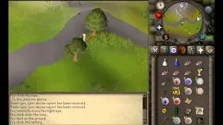 Runescape clue scroll - Speak to Ulizius