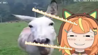 Hehehehehehehehehehehe