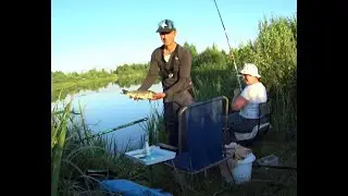 Рибалка на поплавок. Клев плотви та коропа на ставку.  Рибалка в Україні
