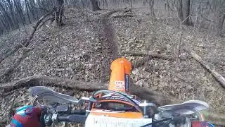 Racing with the deer