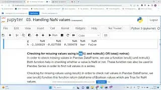 Handling of NaN values in pandas